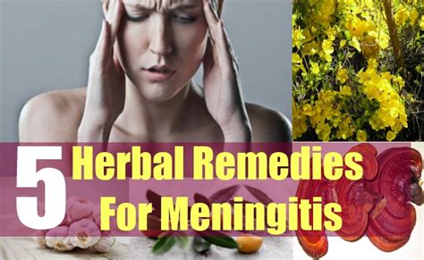 natural treatment for viral meningitis